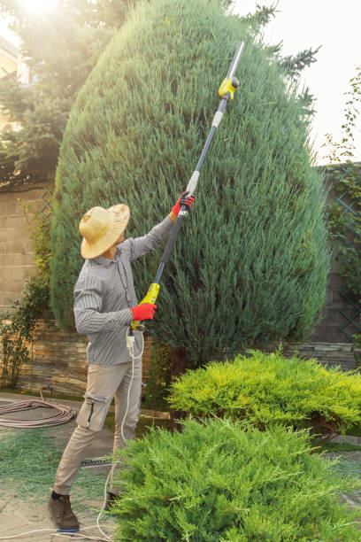 Trusted Hallstead, PA Tree Removal and Landscaping Services Experts